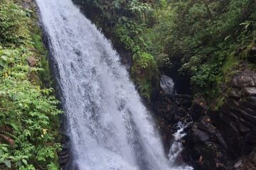 Waterfalls in La Paz Waterfall Gardens Costa Rica